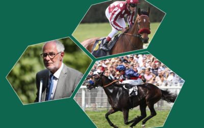 DAS SAGT DER HANDICAPPER