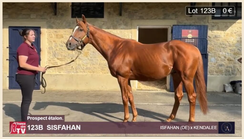 SISFAHAN ZURÜCK GEKAUFT