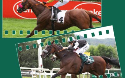 DOPPELSPITZE IM D’DORF GP