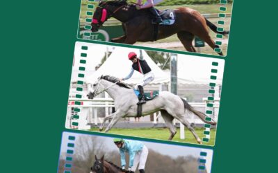 TRIO FÜR HOPPEGARTEN