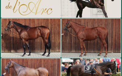 VIER BEI VENTE DE L’ ARC