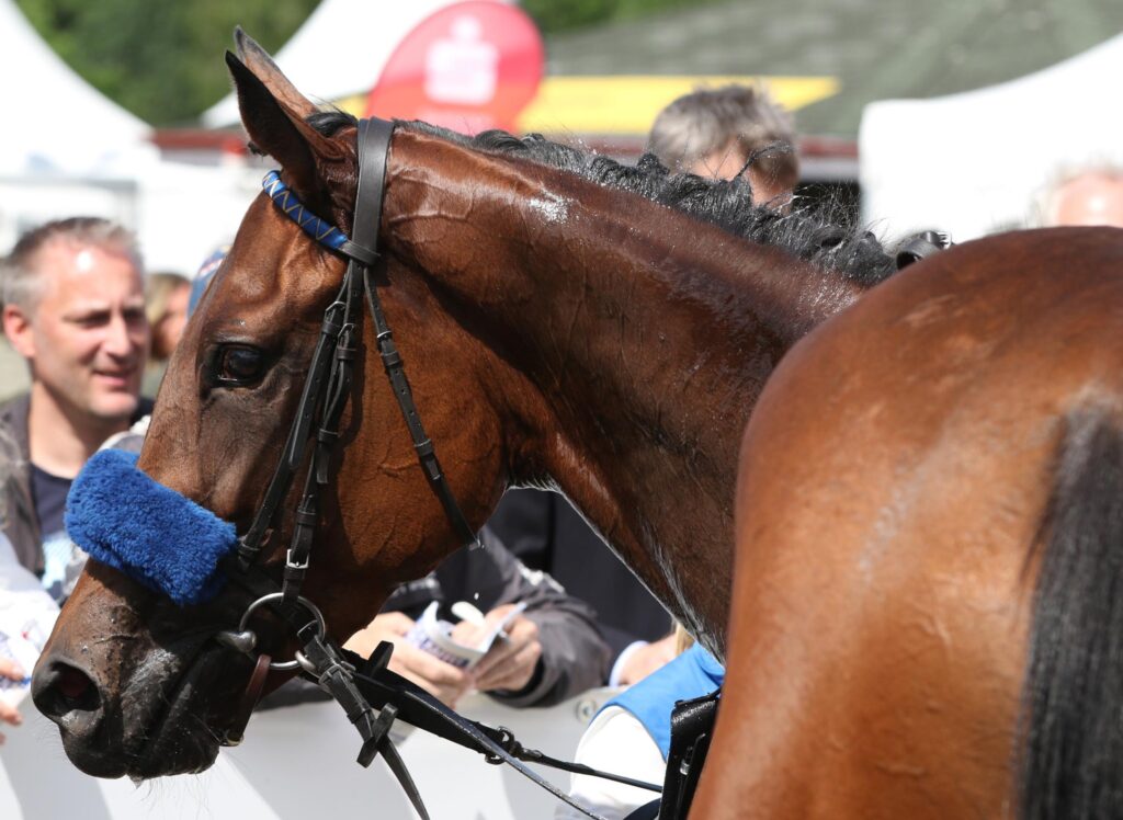 PLATZ VIER KNAPP VERPASST