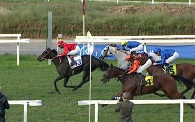 VIERTE BEI GRUPPE DEBUT