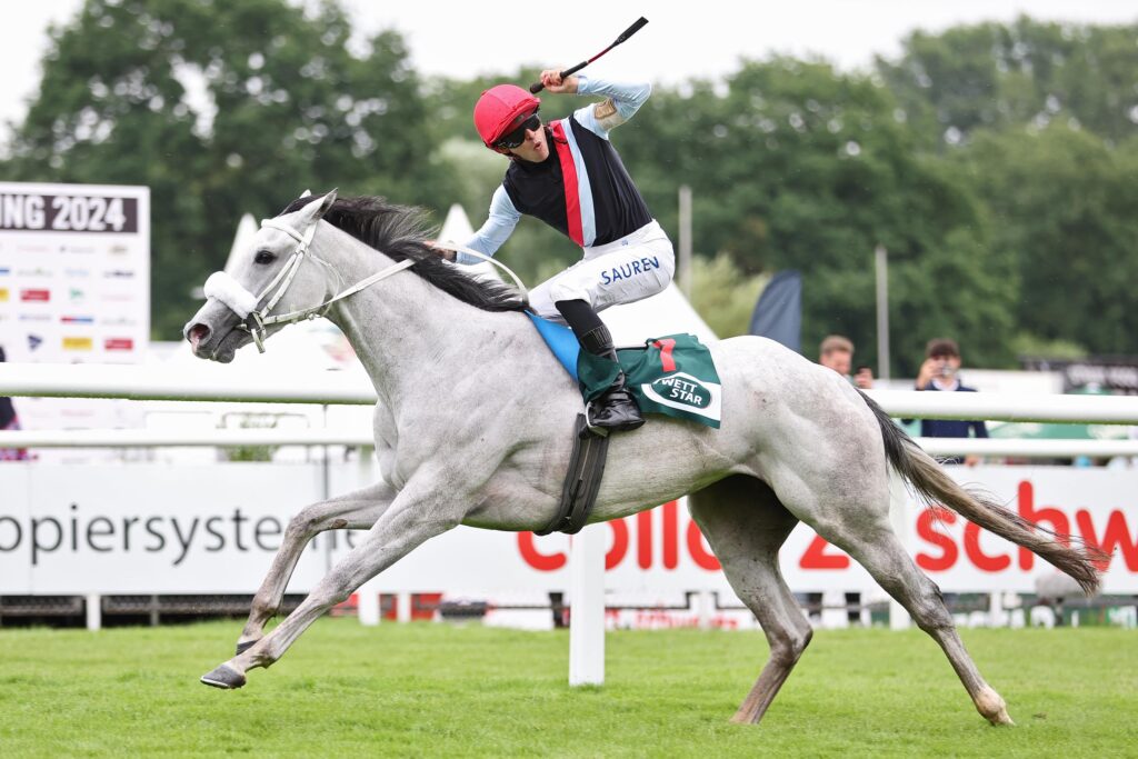 ARQANA ANGEBOT