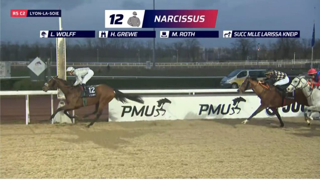 NARCISSUS LEGT NACH