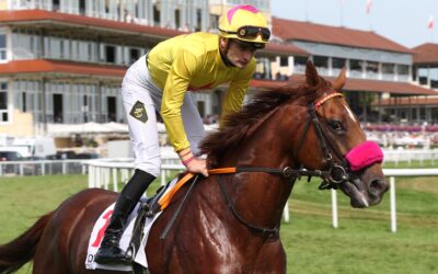 EX GREWE IN MEYDAN