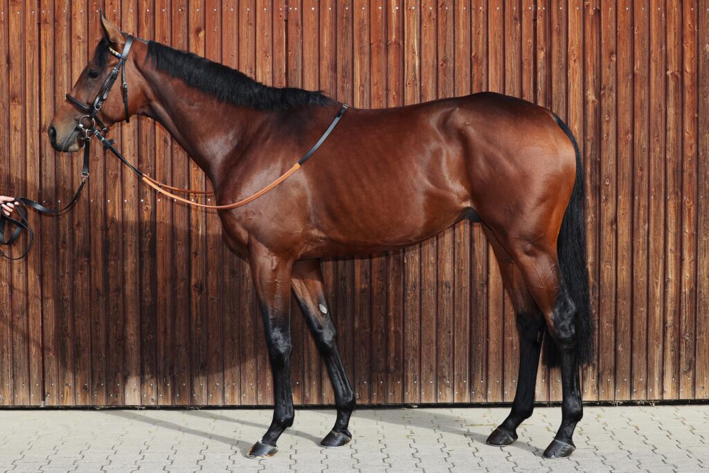 PALLADIUM’S HÜRDEN DEBUT