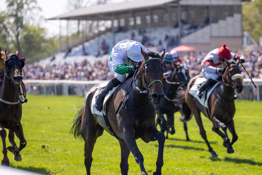DRITTE IM HANDICAP DEBUT