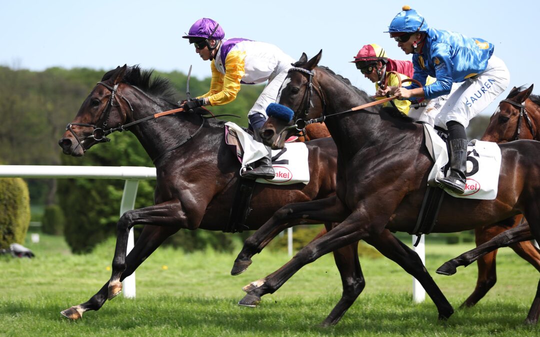 DERBYTICKET IM BLICK