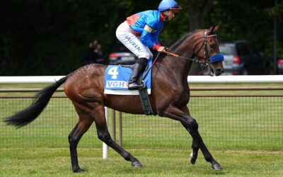 LOKI IM DERBY ITALIANO