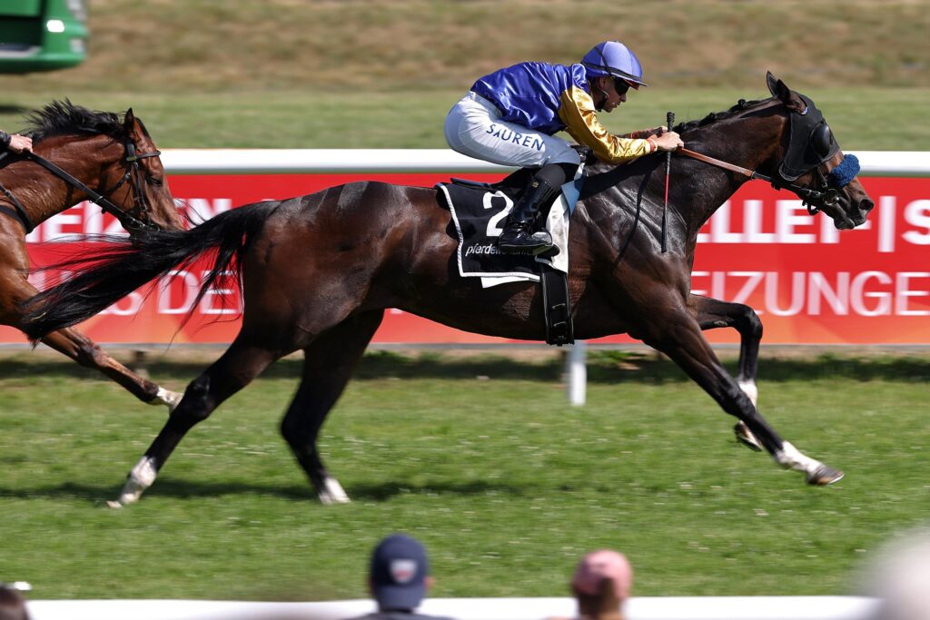 ENDLICH WARREN HILL