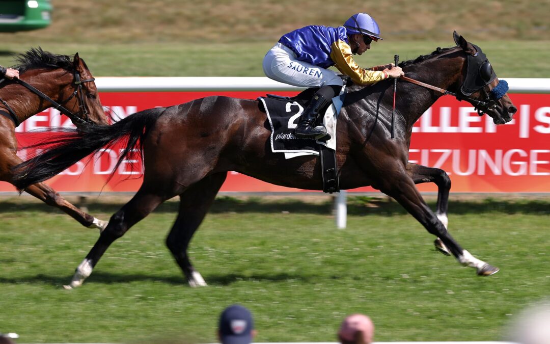 ENDLICH WARREN HILL