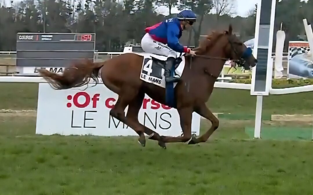 RECLAMER IN COMPIEGNE