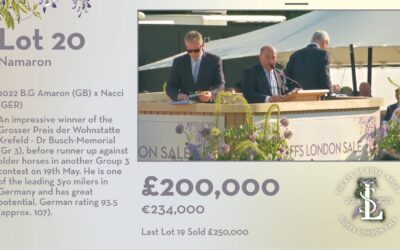 GOFFS: 200.000£ FÜR NAMARON