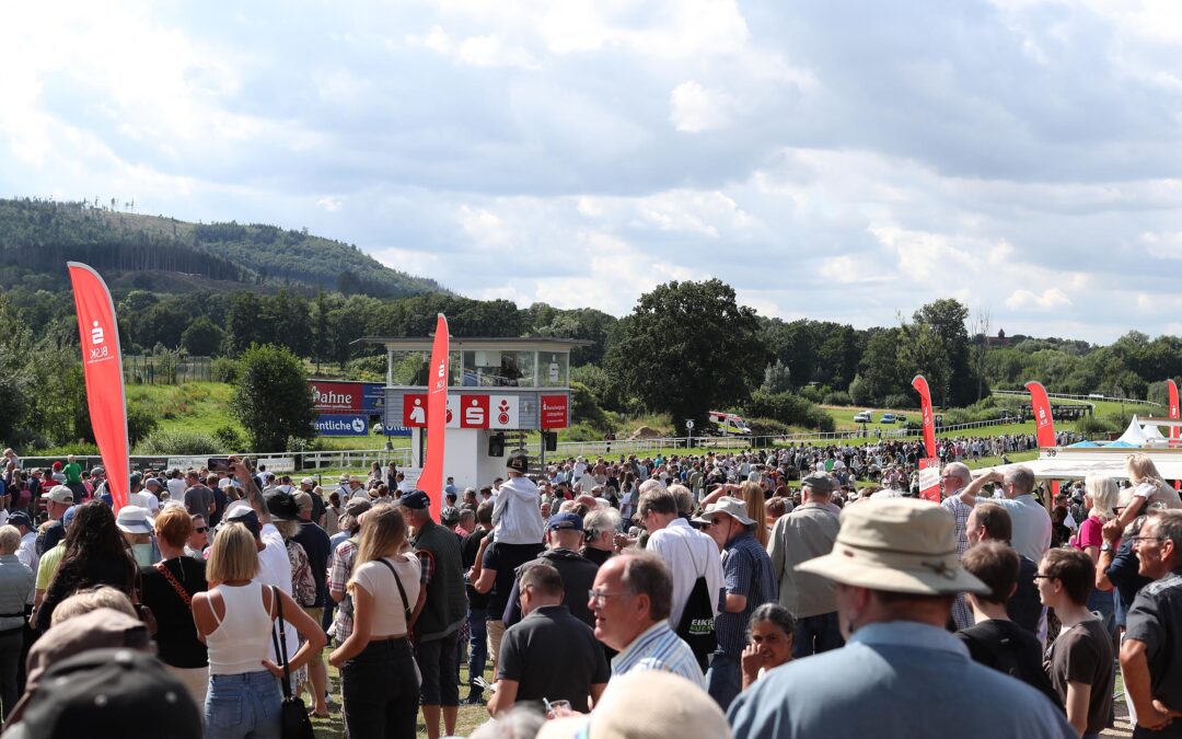 SECHS FÜR BAD HARZBURG
