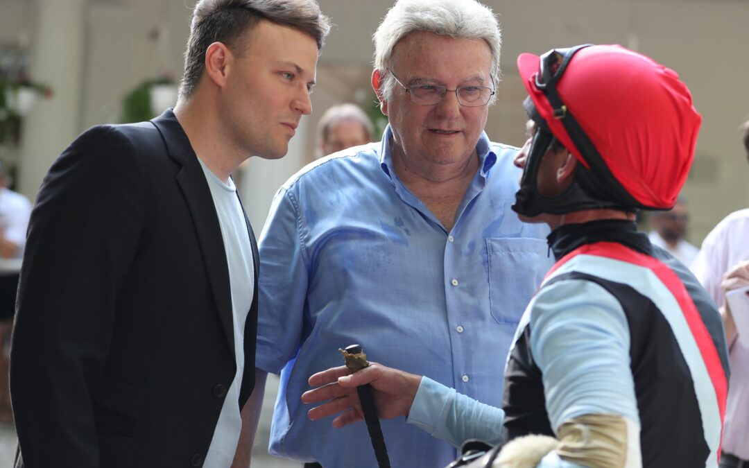 DIE DIANA NOCH IM BLICK