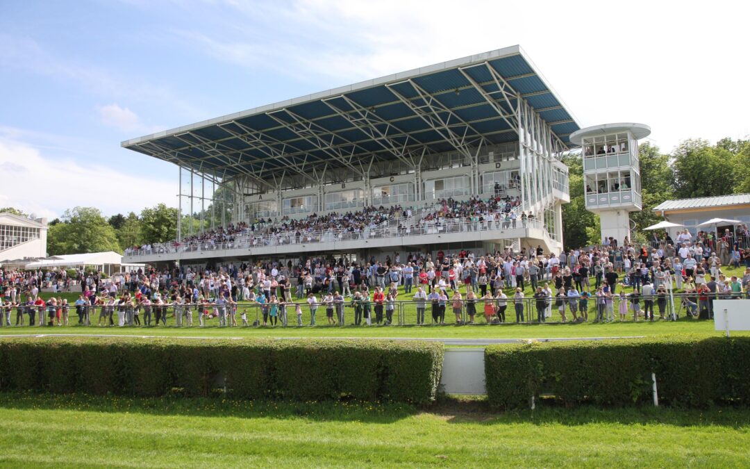 ZWEI HANDICAP STARTER