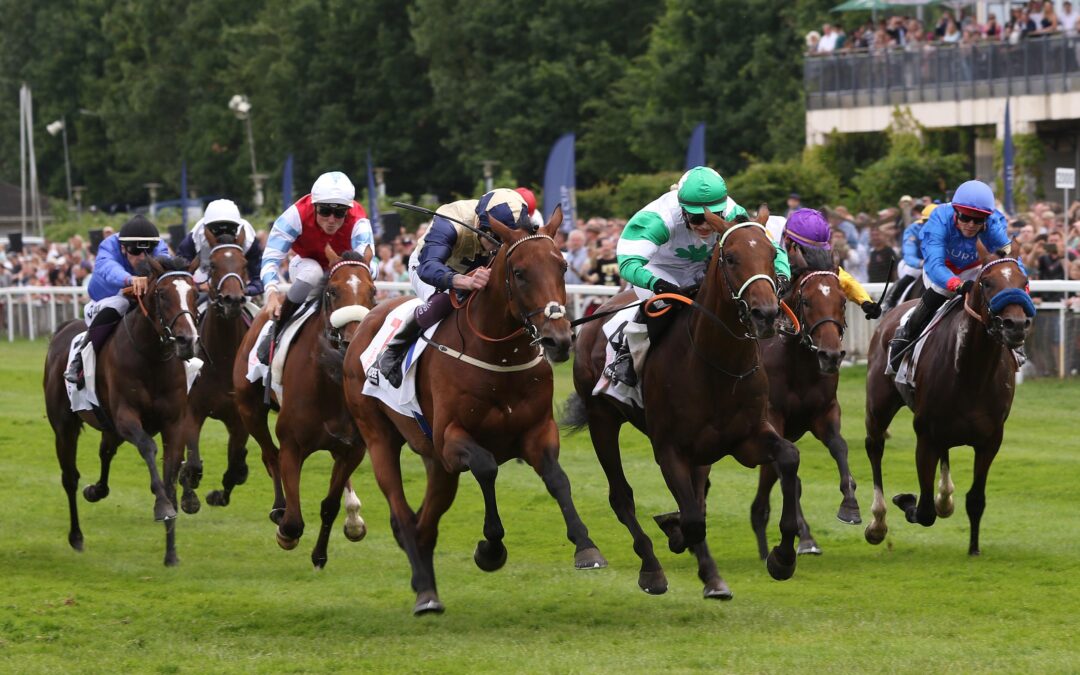 ENZIAN DERBY VIERTER