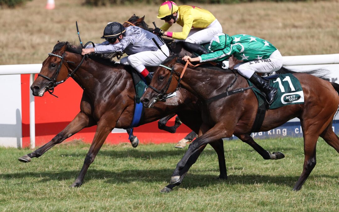STARKER DRITTER PLATZ