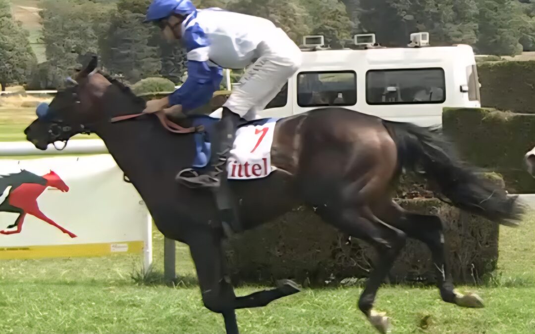 GUTES DEBUT IN VITTEL