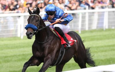 CHIEFLAND GLEICH TOP