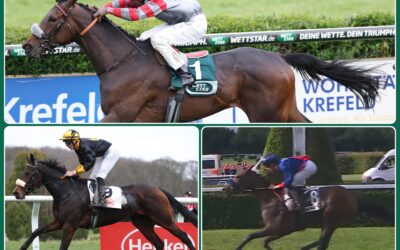 STUTENTRIO IN HANNOVER