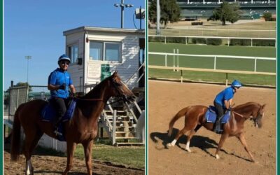 ERSTE ARBEIT IN DER FREMDE