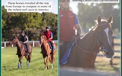 DER COUNTDOWN LÄUFT