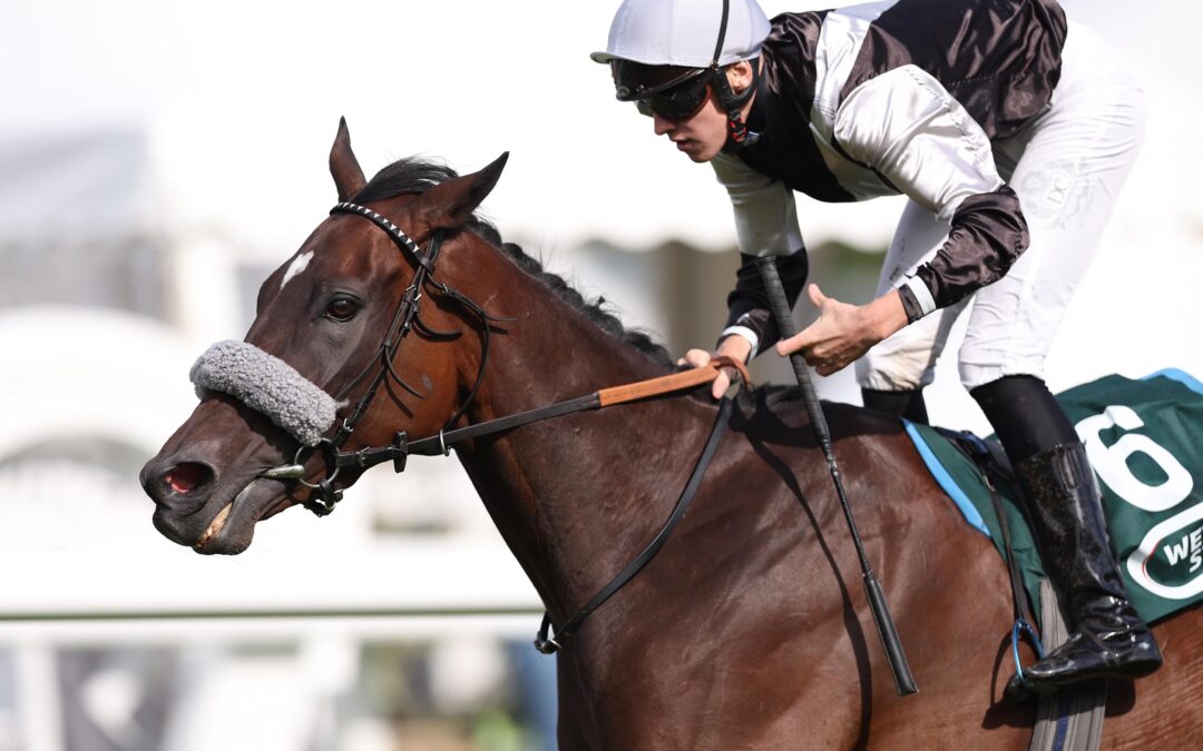 UNVERSTÄNDLICHE LEISTUNG