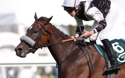 UNVERSTÄNDLICHE LEISTUNG