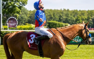 FLATTEN THE CURVE – 53,5