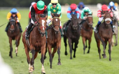 WIE GEWOHNT STARK VERKAUFT