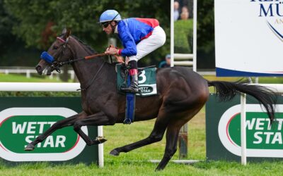 GLEICH ÜBERLEGEN VORAUS