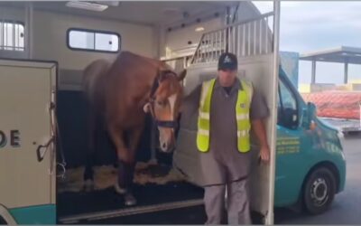 WIEDER UNTERWEGS IN DIE USA