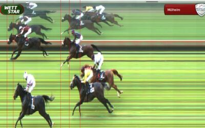 SIEG UND JETZT IN DIE ZUCHT ??