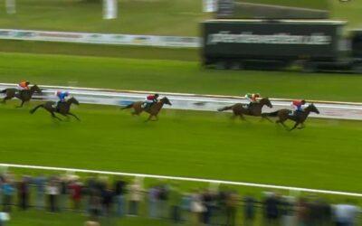 DIESMAL EIN VIERTER PLATZ