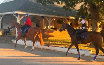 VORBEREITUNGEN LAUFEN