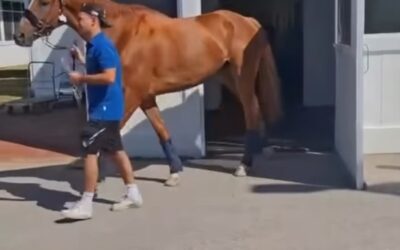 UMZUG NACH KENTUCKY DOWNS