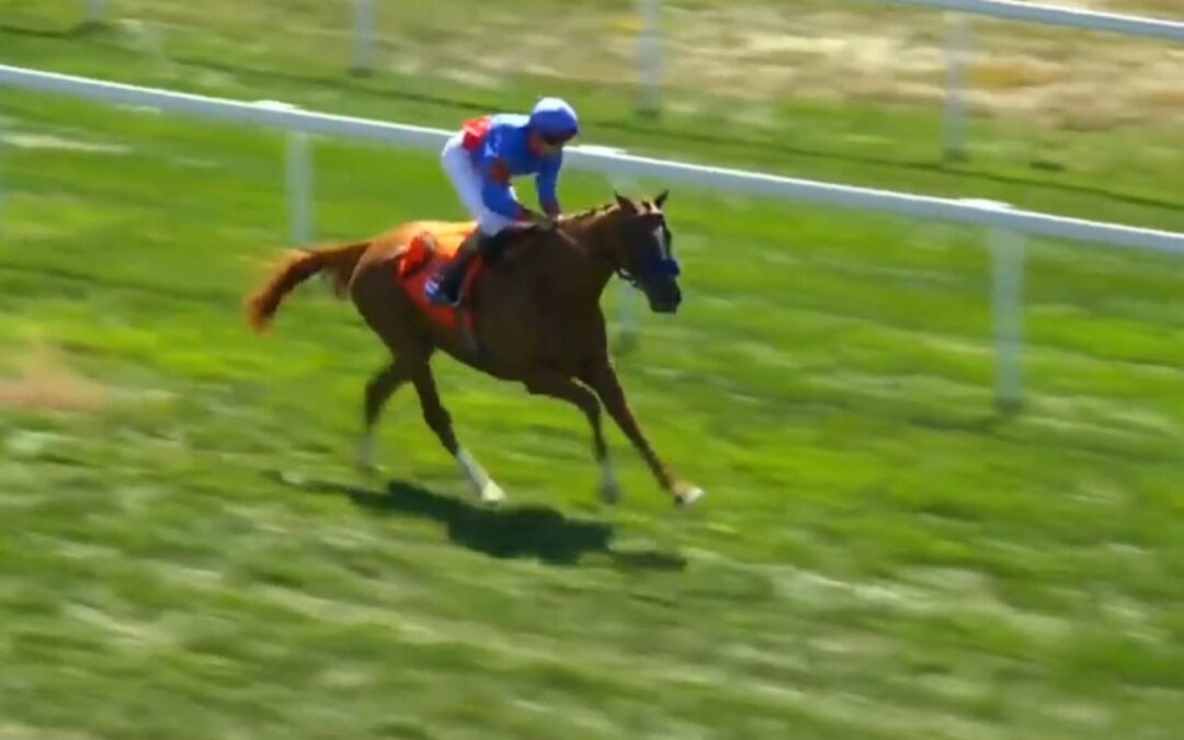 FLATTEN THE CURVE ROCKT KENTUCKY