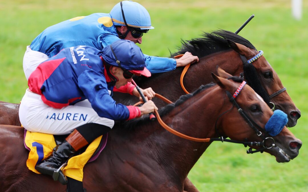 ENZIAN MIT “KOPF”