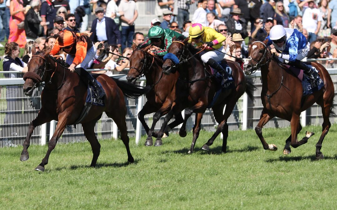 KOFFI KICK WIEDER TOP