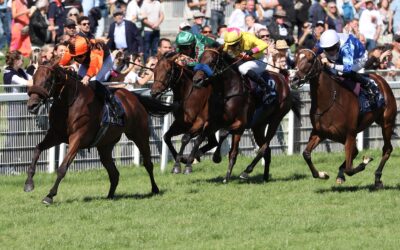 KOFFI KICK WIEDER TOP