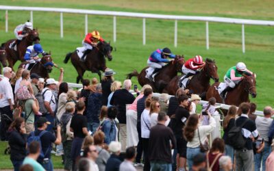 DIESMAL ZWEITER – SIEBTER