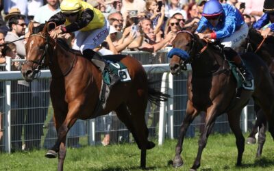 PLUSH IST ÜBERFÄLLIG