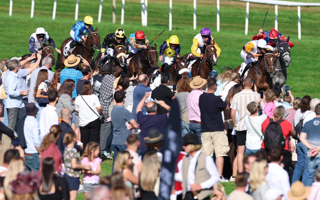 INNORA DiESMAL FÜNFTE