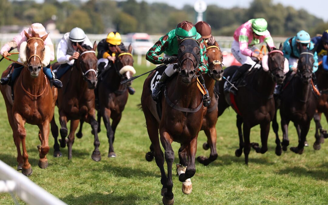 VAMOS A MARTE MUSS WARTEN