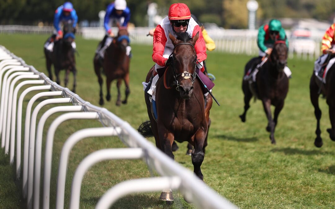 PENALTY NICHT ZU HALTEN