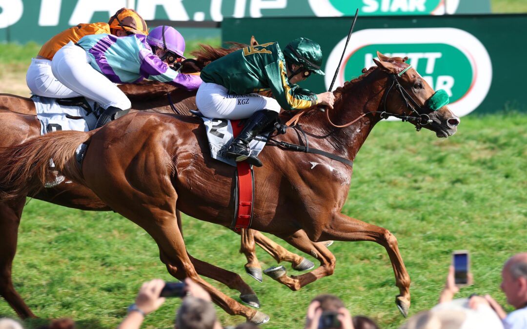 WIE GEWÜNSCHT GLEICH GEWONNEN