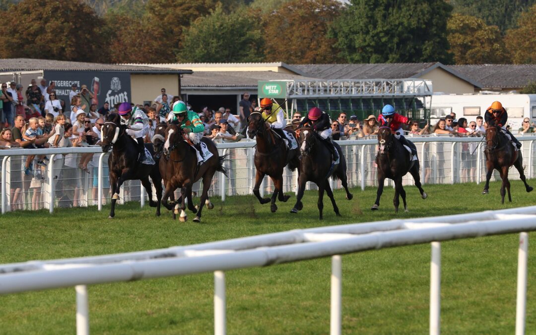 PLATZ FÜNF FÜR NEUZUGANG