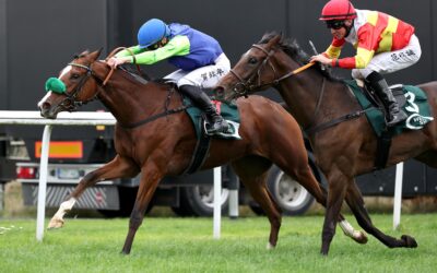 VALZEINA WIE VERWANDELT